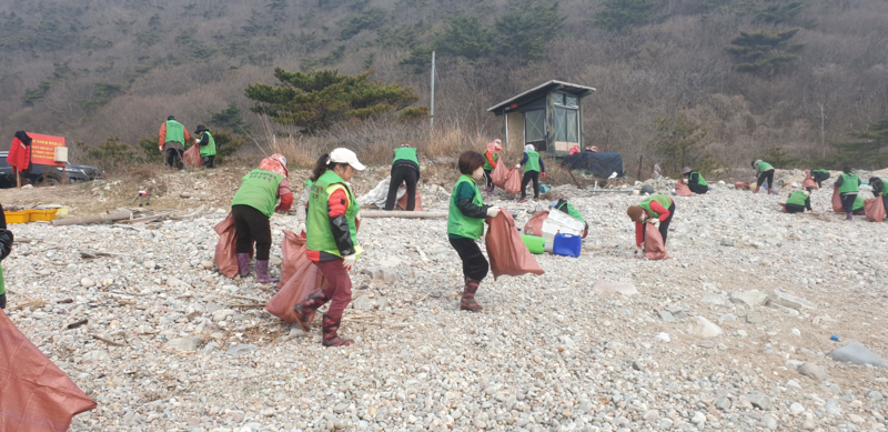 해안가 정화활동 사진