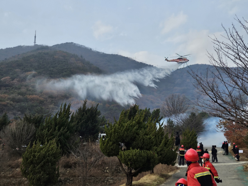 산불 예방 활동 참고 사진